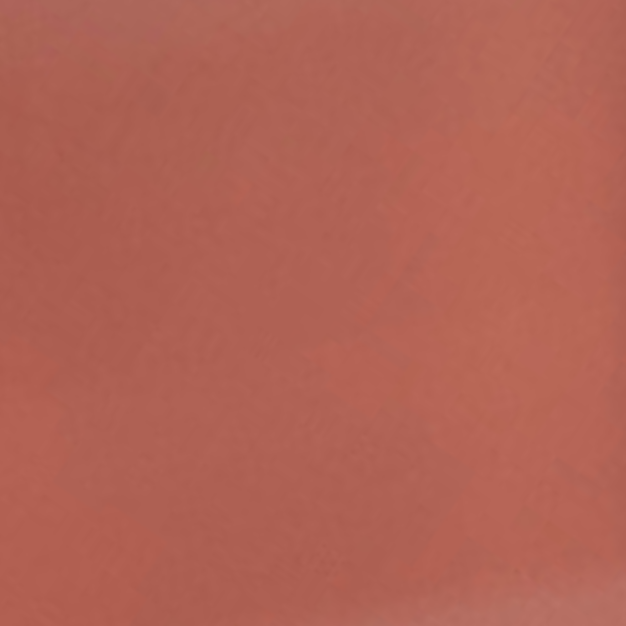 LIP COLOR - 102