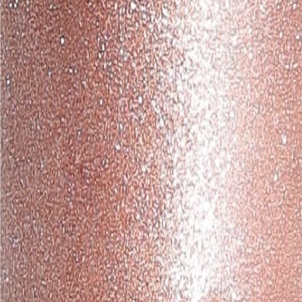 LIP GLOSS - 01