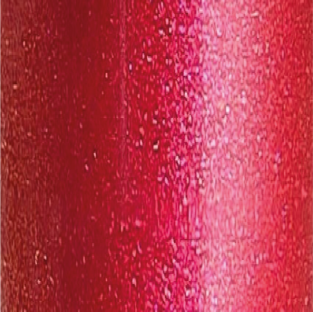LIP GLOSS - 04
