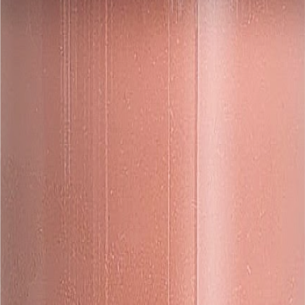 LIP GLOSS - 06
